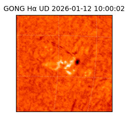 gong - 2026-01-12T10:00:02