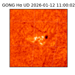 gong - 2026-01-12T11:00:02