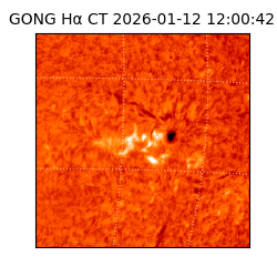 gong - 2026-01-12T12:00:42