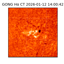 gong - 2026-01-12T14:00:42