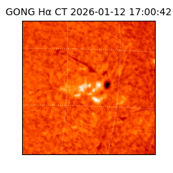gong - 2026-01-12T17:00:42