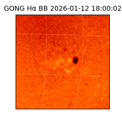 gong - 2026-01-12T18:00:02