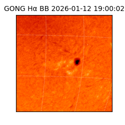 gong - 2026-01-12T19:00:02