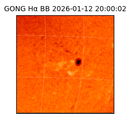 gong - 2026-01-12T20:00:02