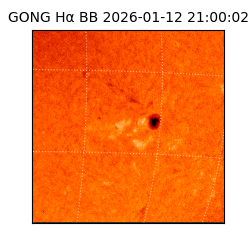 gong - 2026-01-12T21:00:02