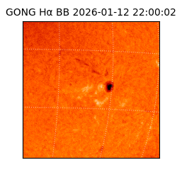 gong - 2026-01-12T22:00:02