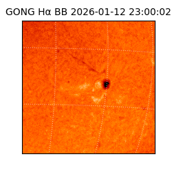 gong - 2026-01-12T23:00:02