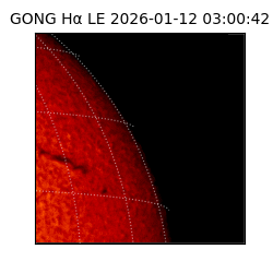 gong - 2026-01-12T03:00:42