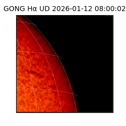 gong - 2026-01-12T08:00:02