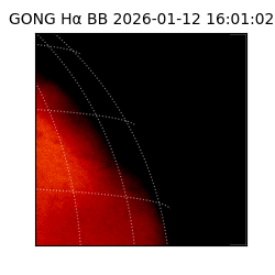 gong - 2026-01-12T16:01:02