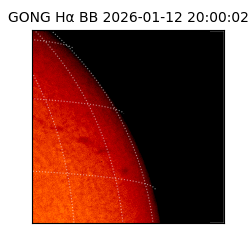 gong - 2026-01-12T20:00:02