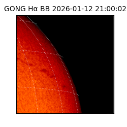 gong - 2026-01-12T21:00:02