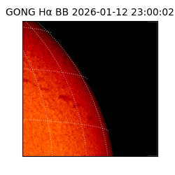gong - 2026-01-12T23:00:02