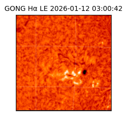 gong - 2026-01-12T03:00:42