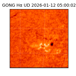 gong - 2026-01-12T05:00:02