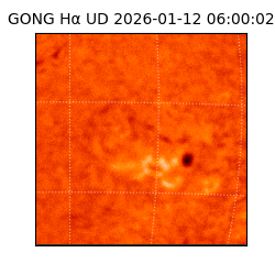 gong - 2026-01-12T06:00:02
