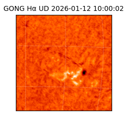 gong - 2026-01-12T10:00:02