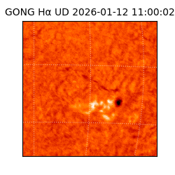 gong - 2026-01-12T11:00:02