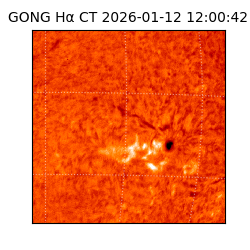 gong - 2026-01-12T12:00:42