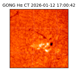 gong - 2026-01-12T17:00:42
