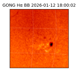 gong - 2026-01-12T18:00:02
