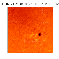 gong - 2026-01-12T19:00:02