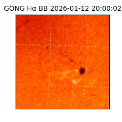 gong - 2026-01-12T20:00:02