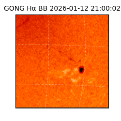 gong - 2026-01-12T21:00:02