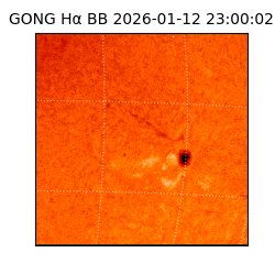 gong - 2026-01-12T23:00:02