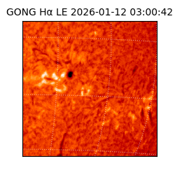 gong - 2026-01-12T03:00:42