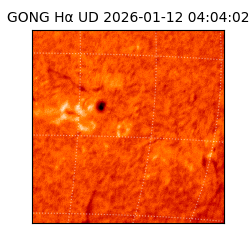 gong - 2026-01-12T04:04:02