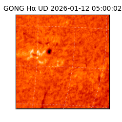 gong - 2026-01-12T05:00:02