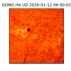 gong - 2026-01-12T06:00:02