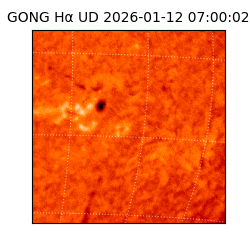 gong - 2026-01-12T07:00:02