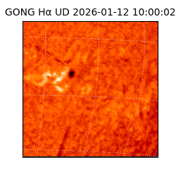 gong - 2026-01-12T10:00:02