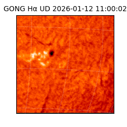 gong - 2026-01-12T11:00:02