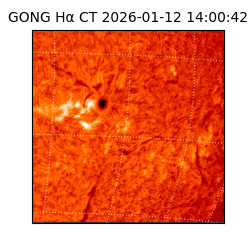 gong - 2026-01-12T14:00:42