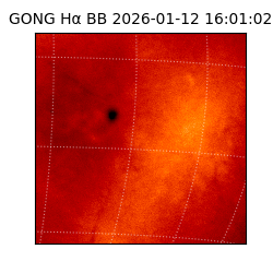 gong - 2026-01-12T16:01:02
