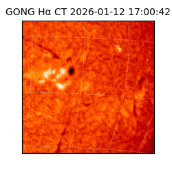 gong - 2026-01-12T17:00:42