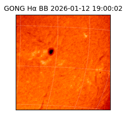 gong - 2026-01-12T19:00:02