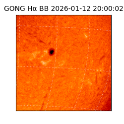 gong - 2026-01-12T20:00:02