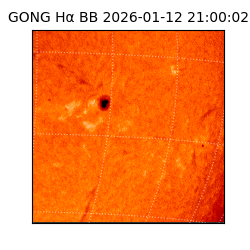 gong - 2026-01-12T21:00:02