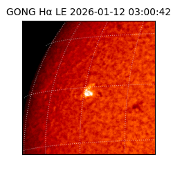 gong - 2026-01-12T03:00:42