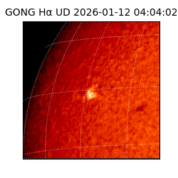 gong - 2026-01-12T04:04:02