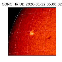 gong - 2026-01-12T05:00:02