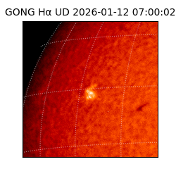 gong - 2026-01-12T07:00:02