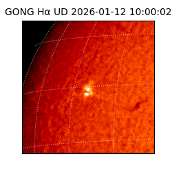 gong - 2026-01-12T10:00:02