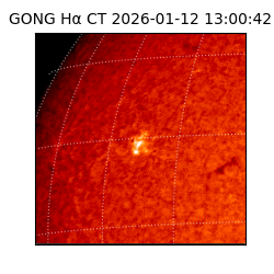 gong - 2026-01-12T13:00:42