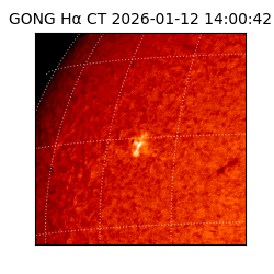gong - 2026-01-12T14:00:42