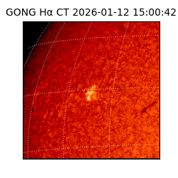 gong - 2026-01-12T15:00:42
